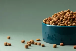 Можно ли смешивать корма для собак?